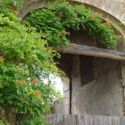 Belle porte de ferme