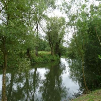 Les berges de la Nied et de ses Ondins légendaires