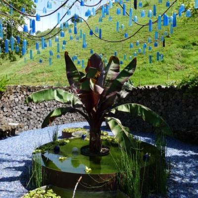 Eclat des couleurs du verre