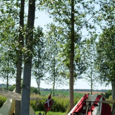 Sous les peupliers...